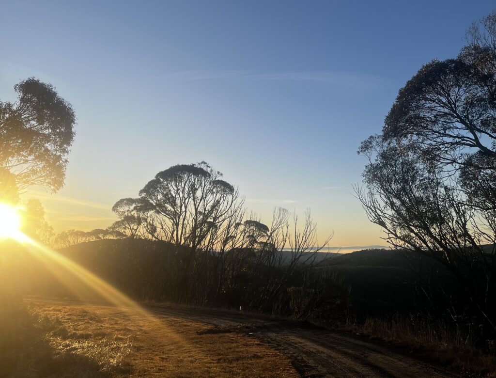 Sentier Consulting - I sat in a car for 10 hours to find clarity