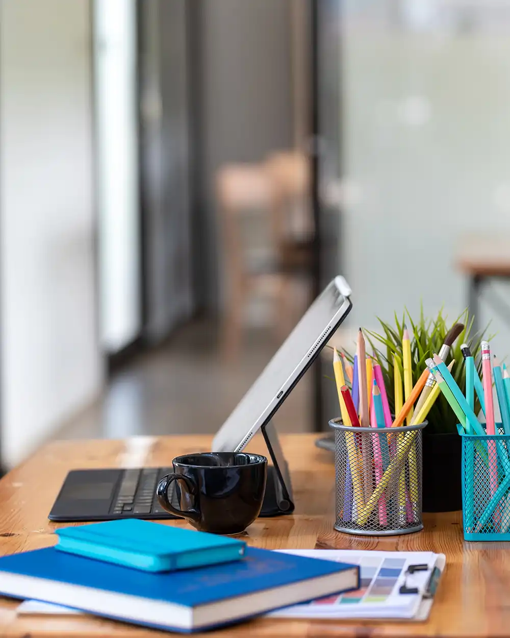 Liz Mackevicius - Coaching and training