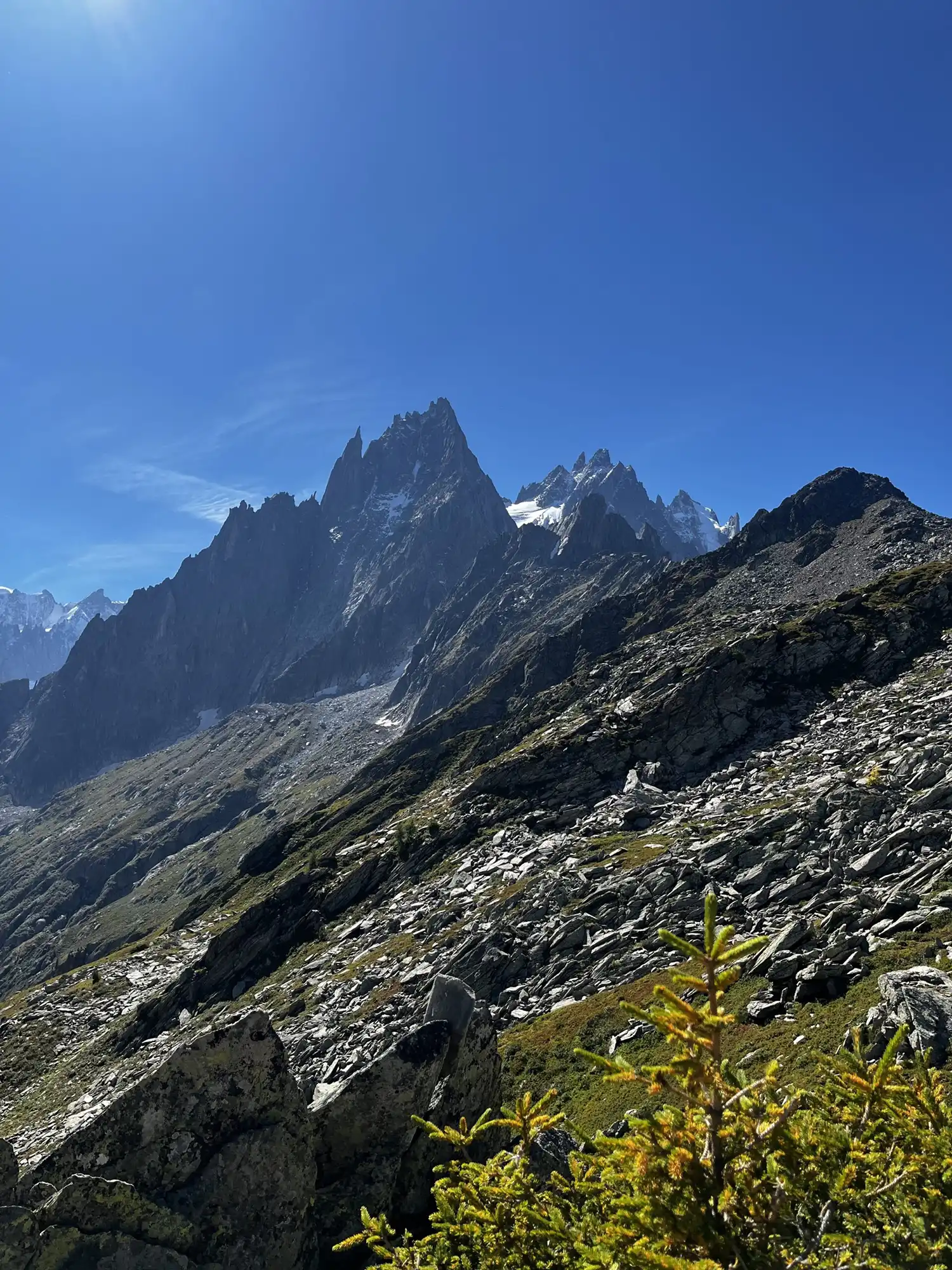 Liz Mackevicius - Leadership Coaching for built environment professionals