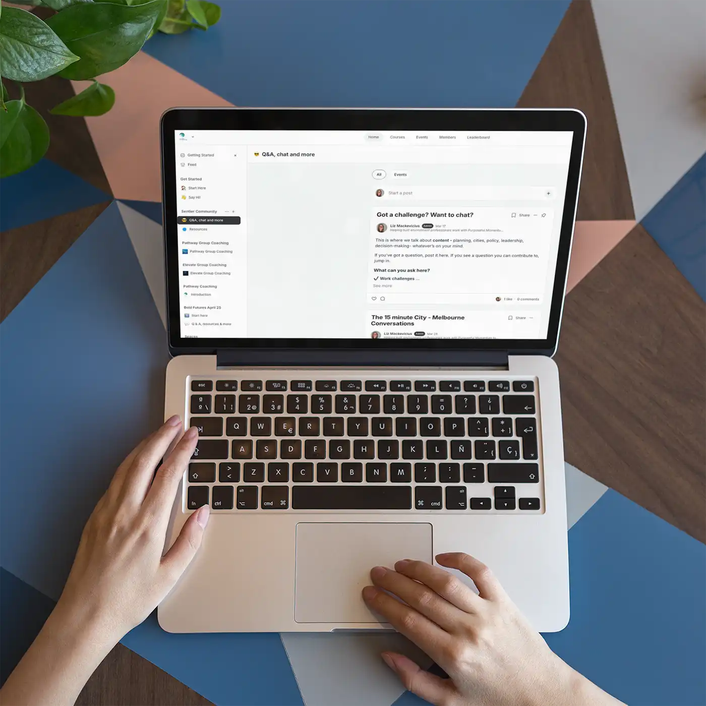 Liz Mackevicius - Joint the Sentier Community